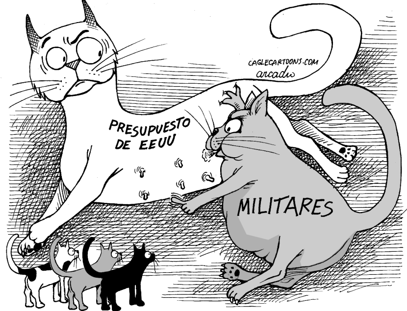 Gato traga presupuesto
