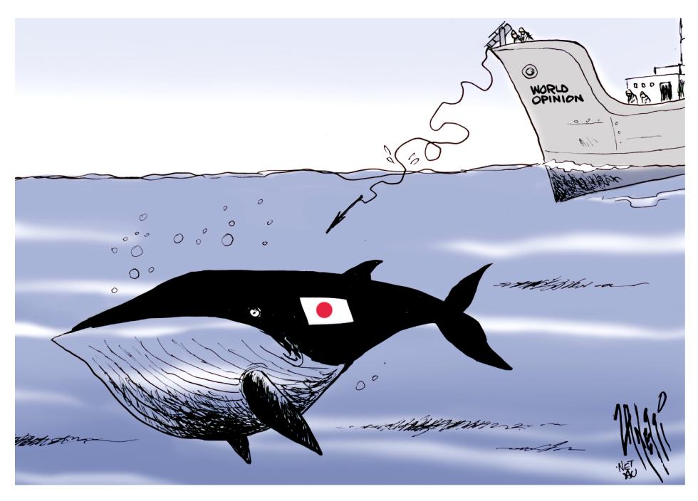 Japanese Whaling Cartoons