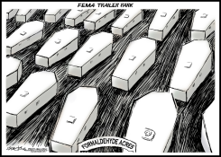 FEMA COFFIN TRAILER PARK by J.D. Crowe