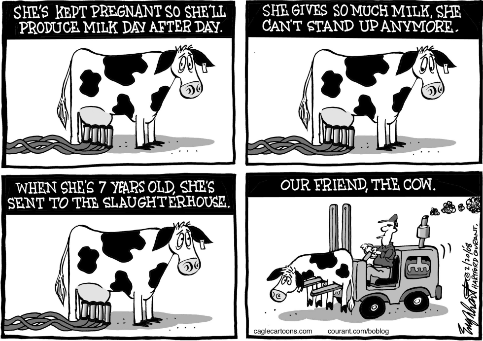 Hamburger Recall
