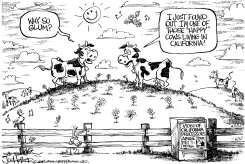 CALIFORNIA BEEF RECALL by Joe Heller