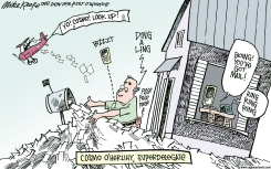 SUPERDELEGATE  by Mike Keefe