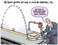 LOCAL FL SHORTFALL PIE  by Jeff Parker