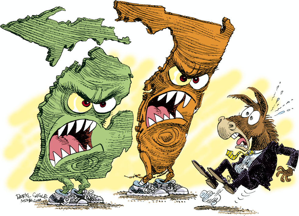 Democrats, Florida and Michigan Color
