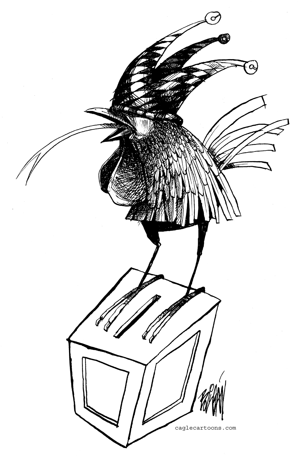 Chicken Candidate