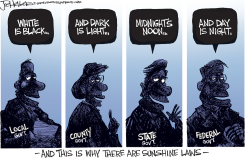 SUNSHINE LAWS by Joe Heller
