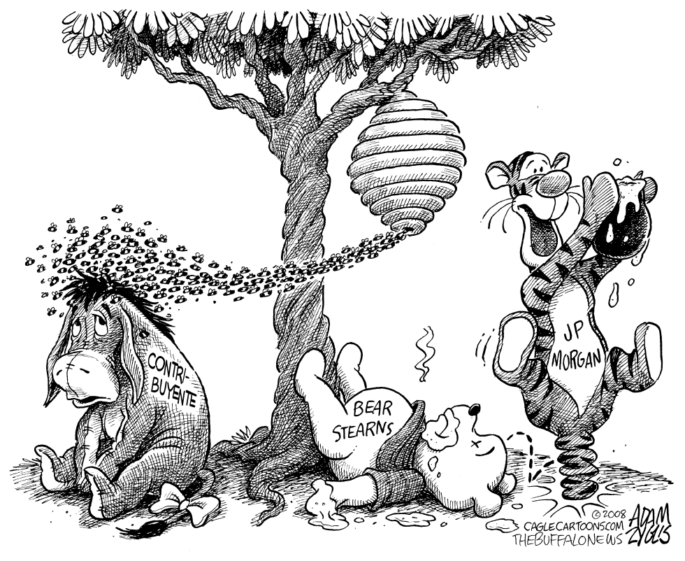 Bear Stearns cae