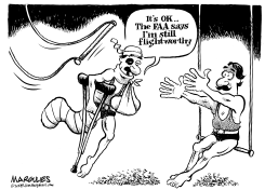 FAA SAFETY STANDARDS by Jimmy Margulies