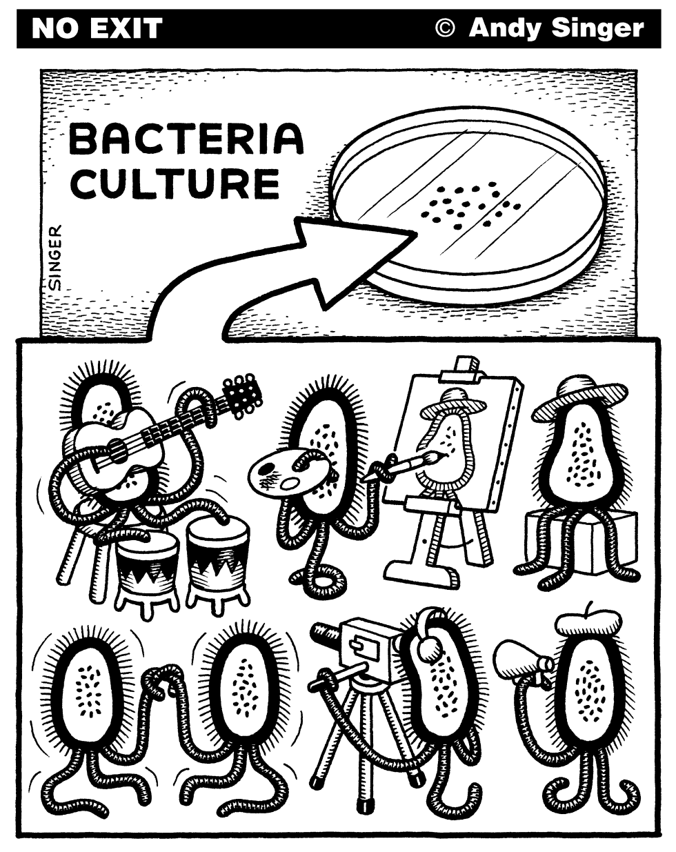 Bacteria Culture