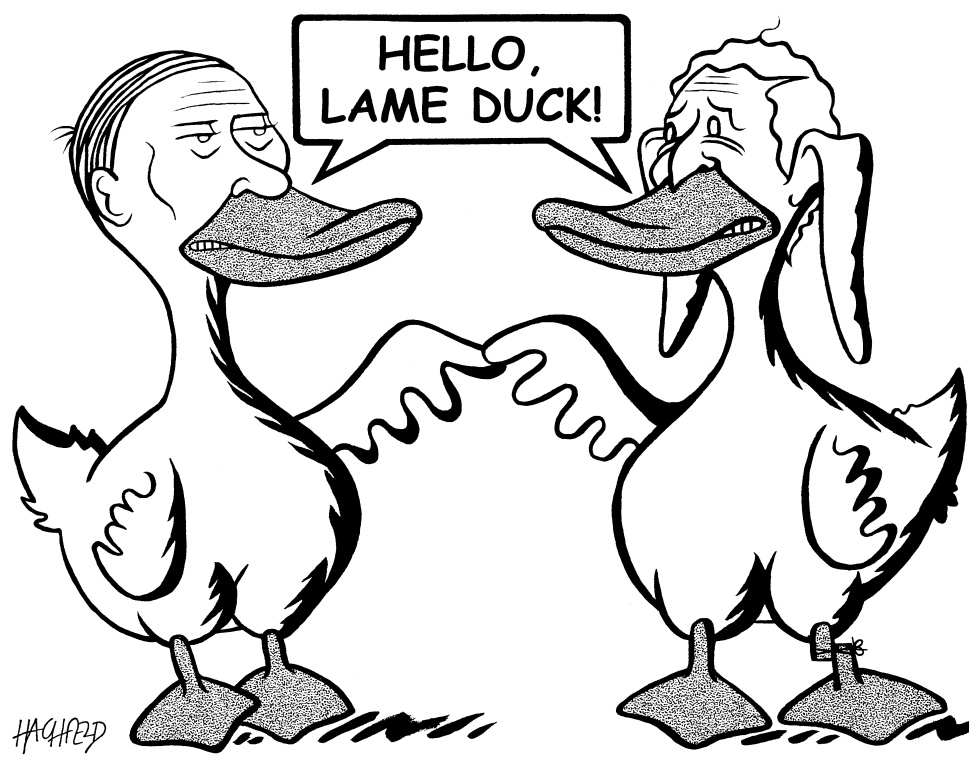 lame ducks