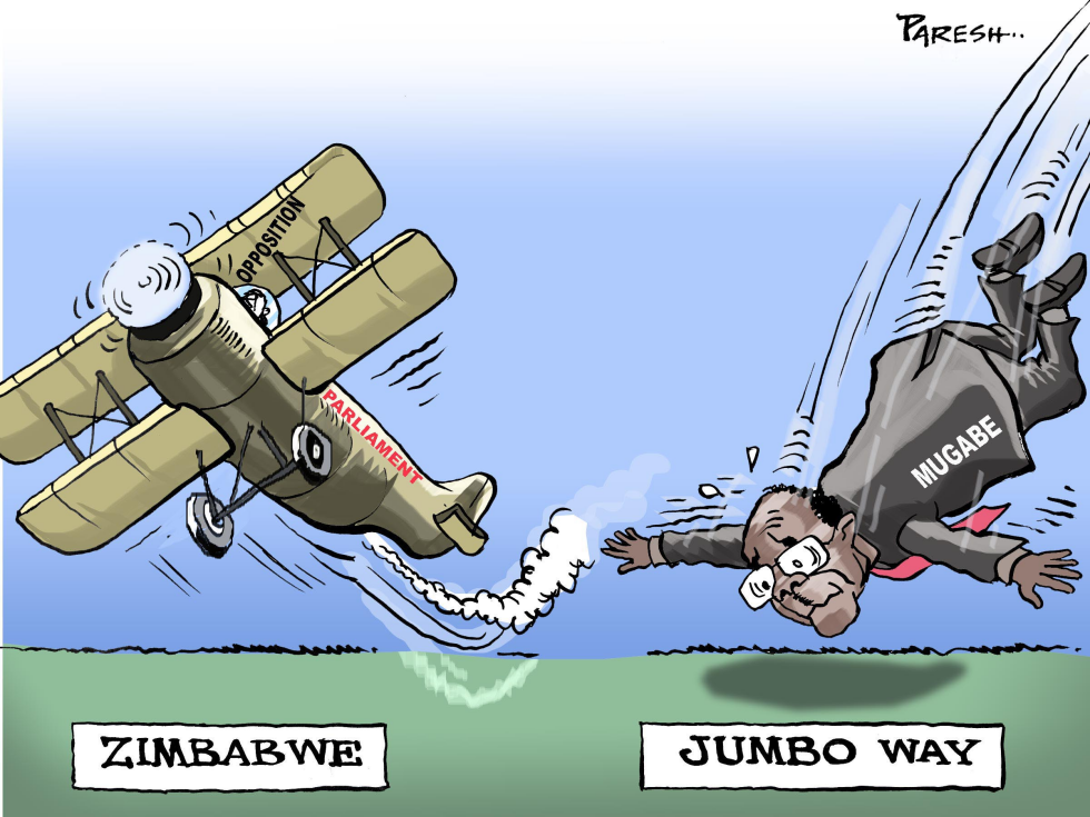 Zimbabwe politics