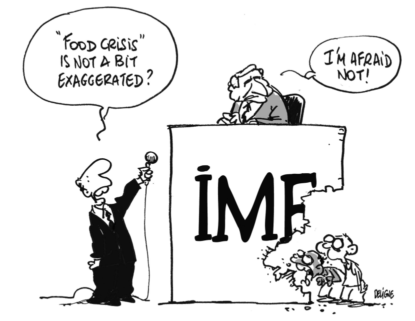 IMF for Food