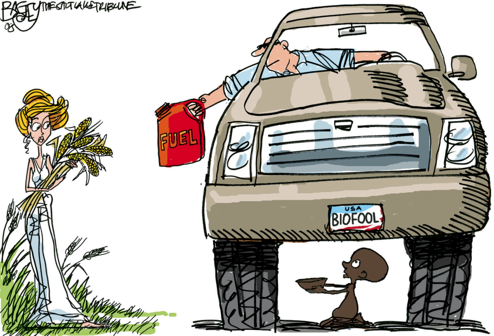  BIOFUEL FOOL  by Pat Bagley