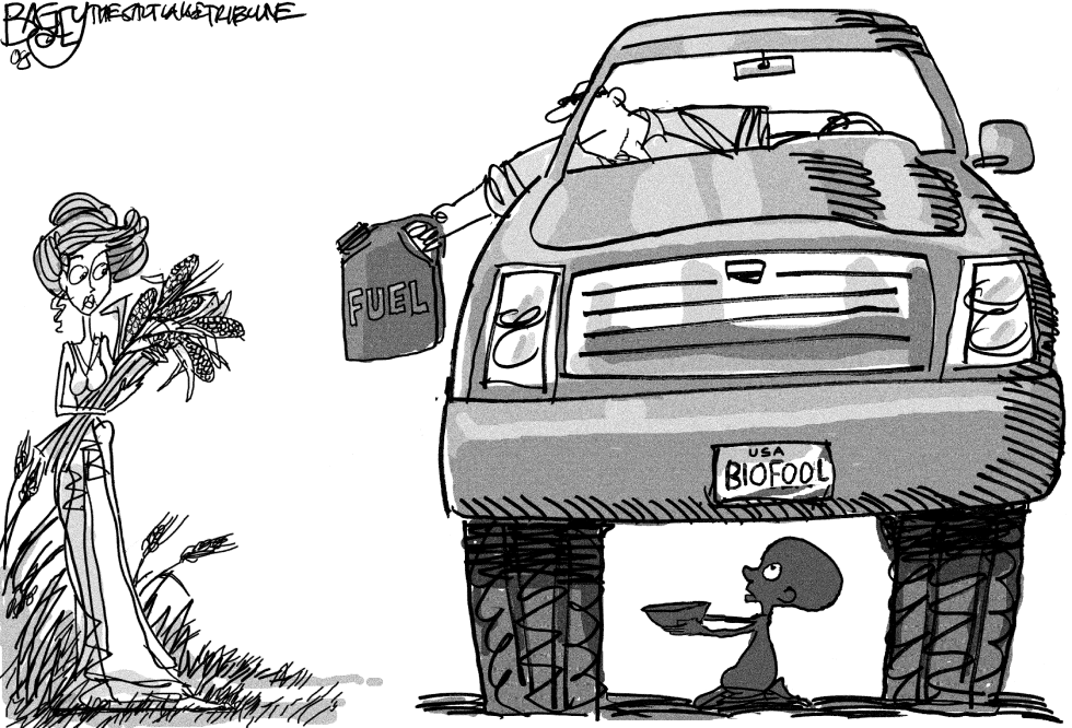  BIOFUEL FOOL by Pat Bagley