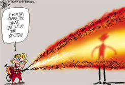 HILLARY IN THE KITCHEN  by Pat Bagley