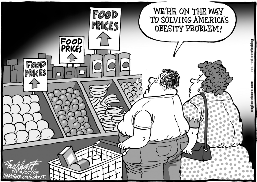 Cost Of Food