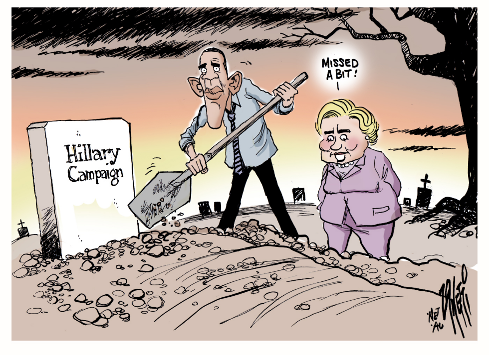 Hillary Campaign Color