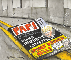 PRINCESS DIANA INQUEST by Iain Green