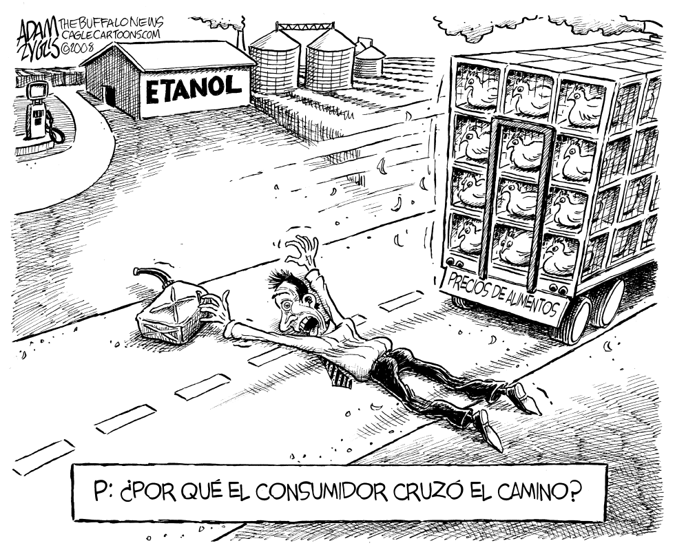 Atropellado