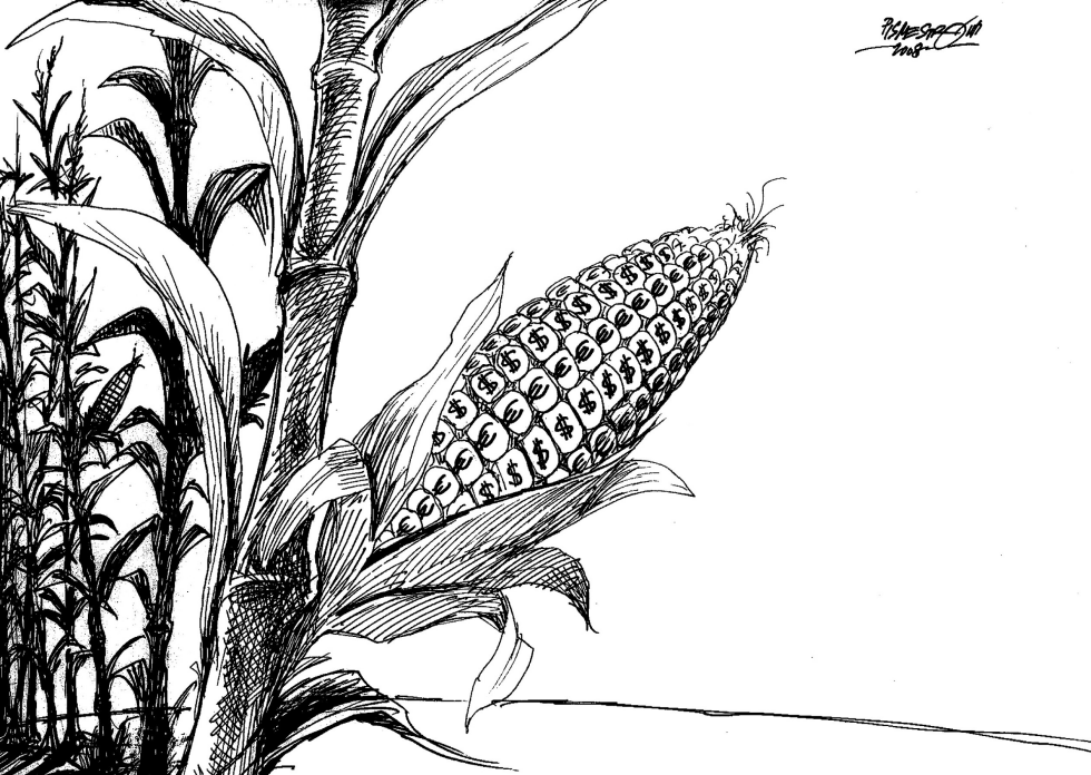 Genetic Corn