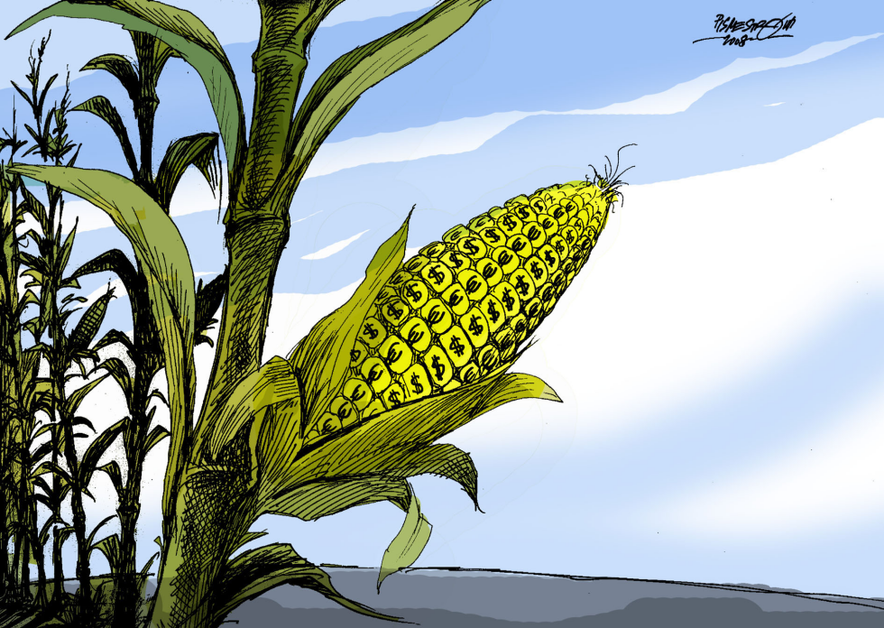  GENETIC CORN by Petar Pismestrovic