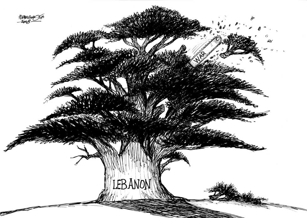 Cedar