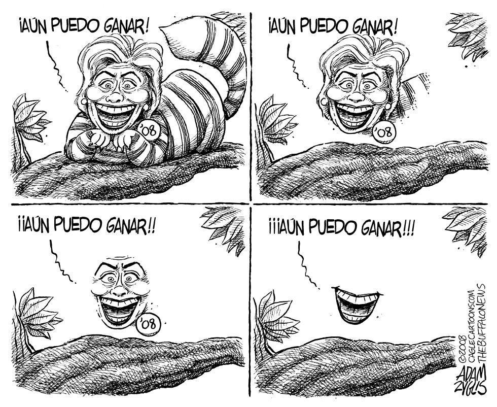 Hillary Desvaneciendose