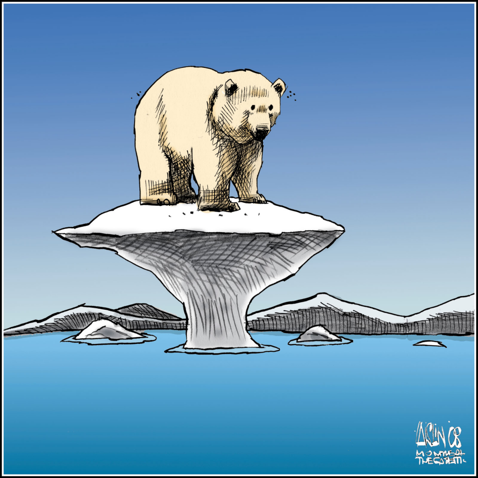 Polar Bear now endangered specie