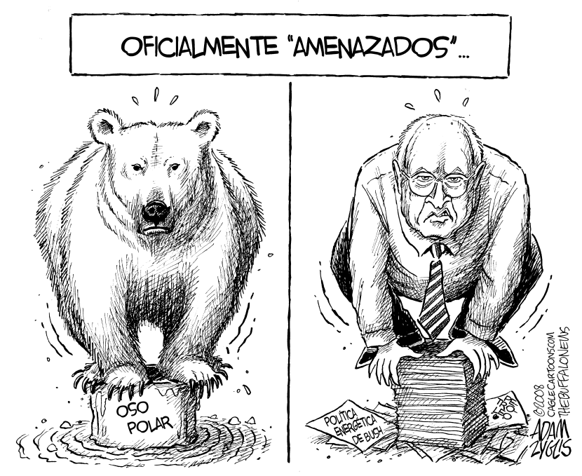 Oso Cheney