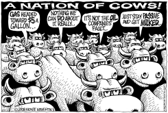 NATION OF COWS  by Monte Wolverton