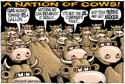NATION OF COWS by Monte Wolverton