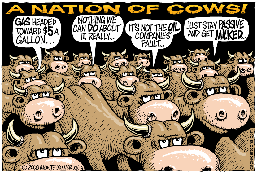 Nation of Cows COLOR