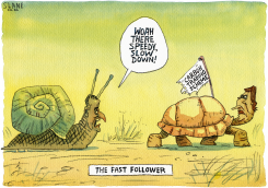SNAIL VS TURTLE by Chris Slane
