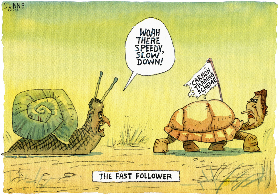 Snail Vs Turtle