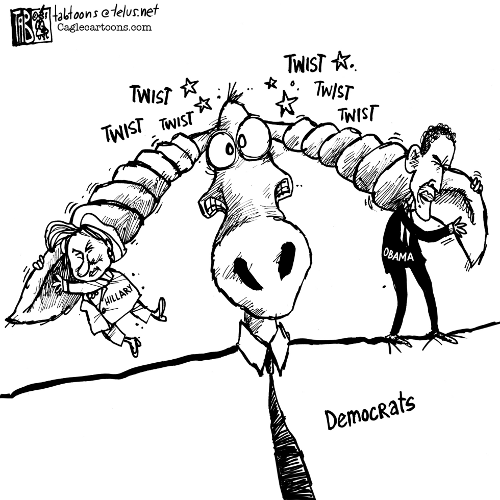 Twisted Democrats