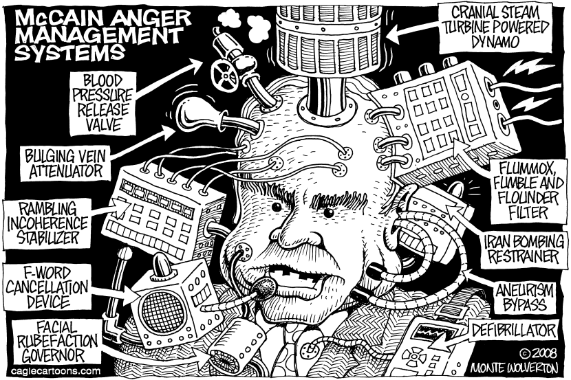 McCain Anger Management Systems