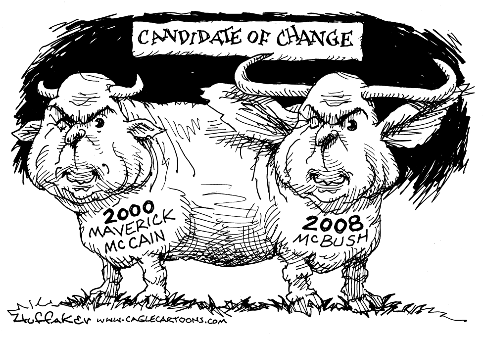 McCain Change