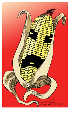 THE CORN SCARES NOW   by Arcadio Esquivel