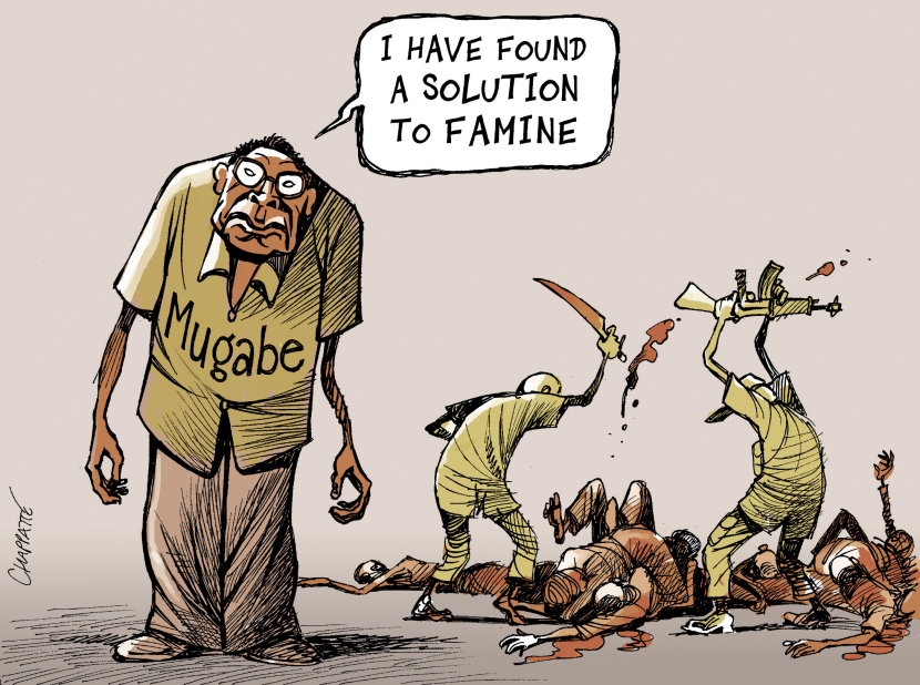 Whos going to STOP MUGABE ?