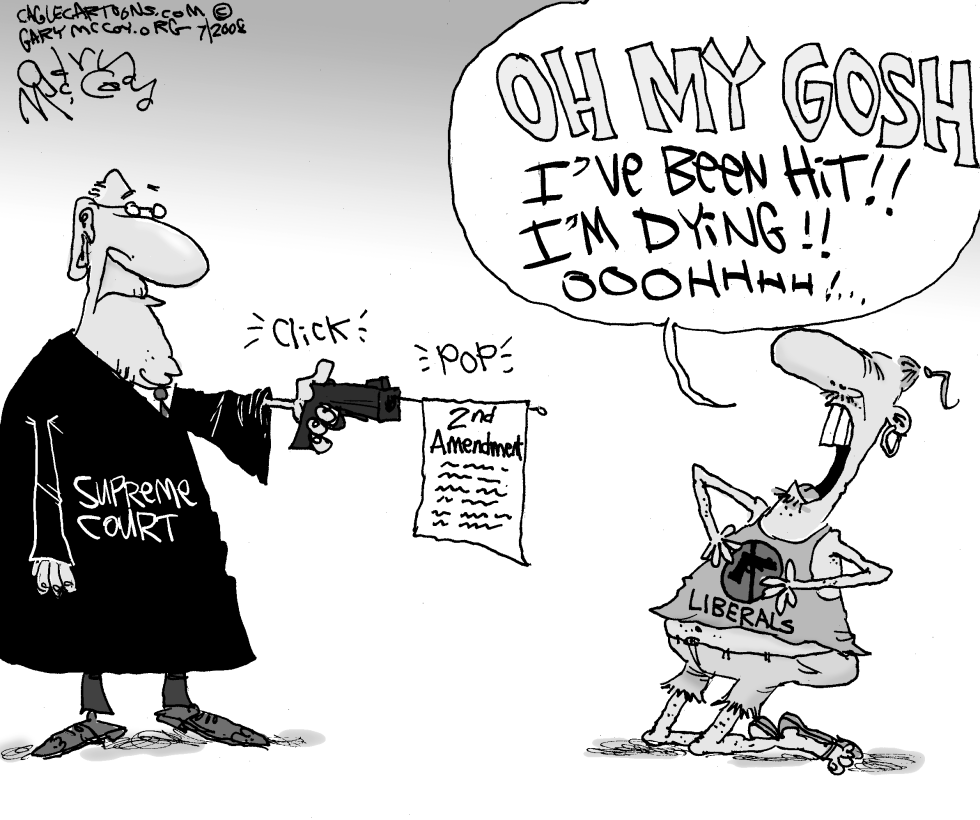 2nd Amendment Affirmed