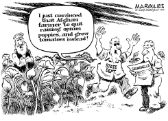 TOMATOES AND SALMONELLA by Jimmy Margulies