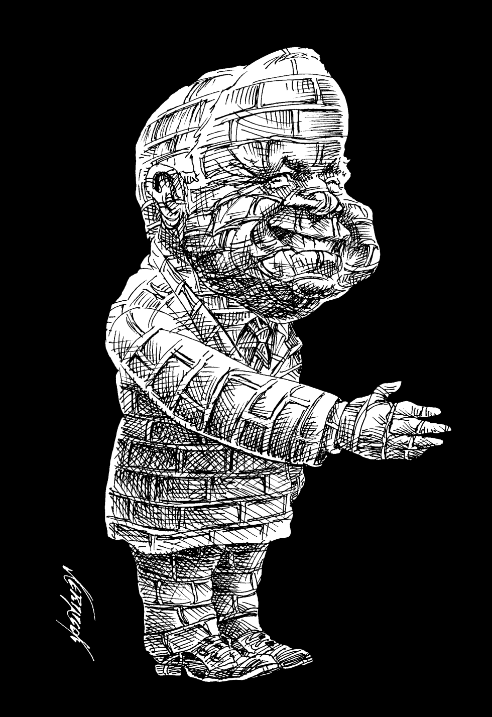 Amigo McCain