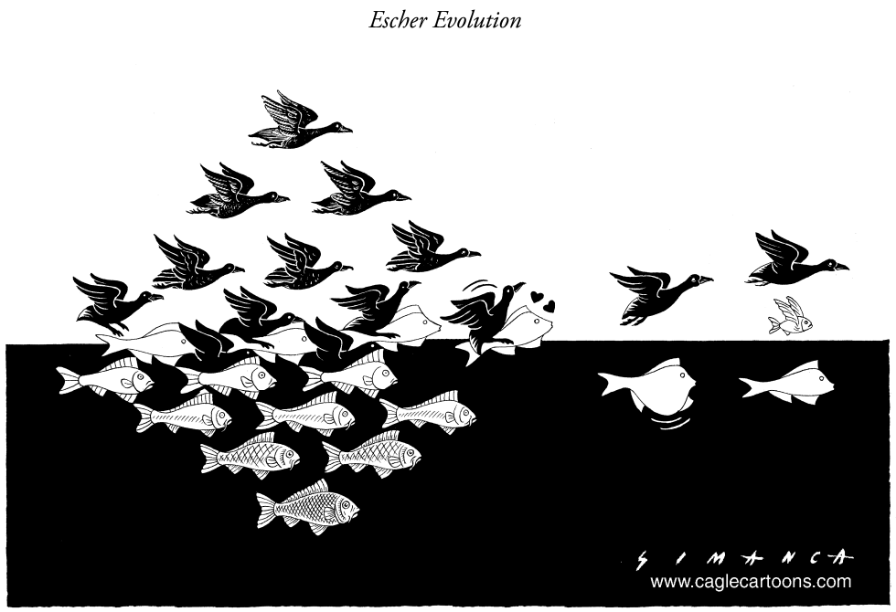 Evolucion