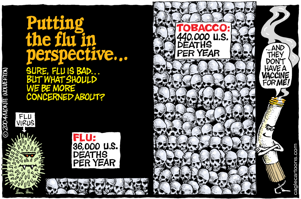  FLU IN PERSPECTIVE   by Wolverton