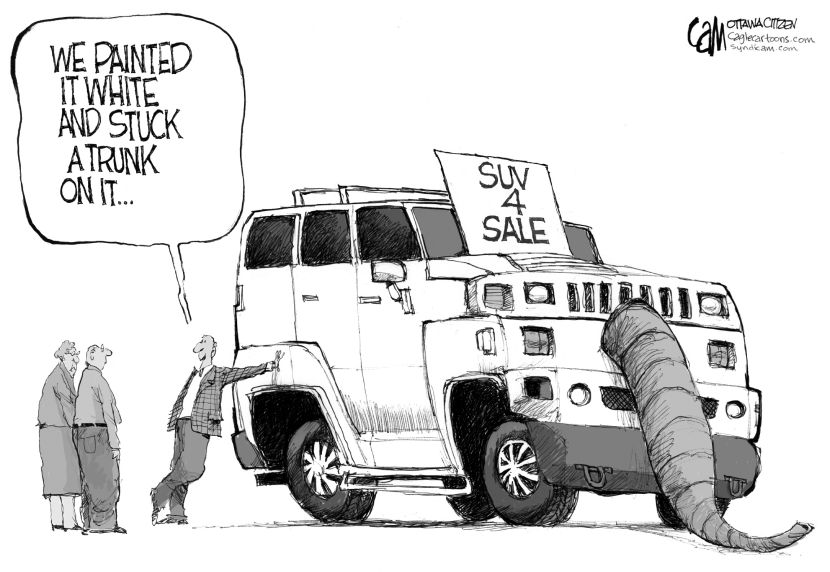 White Elephant