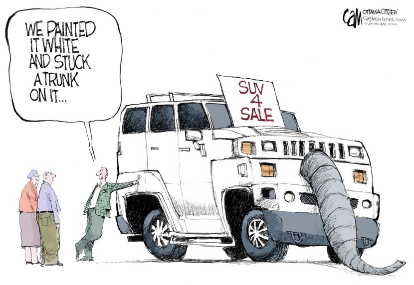 White Elephant COLOR