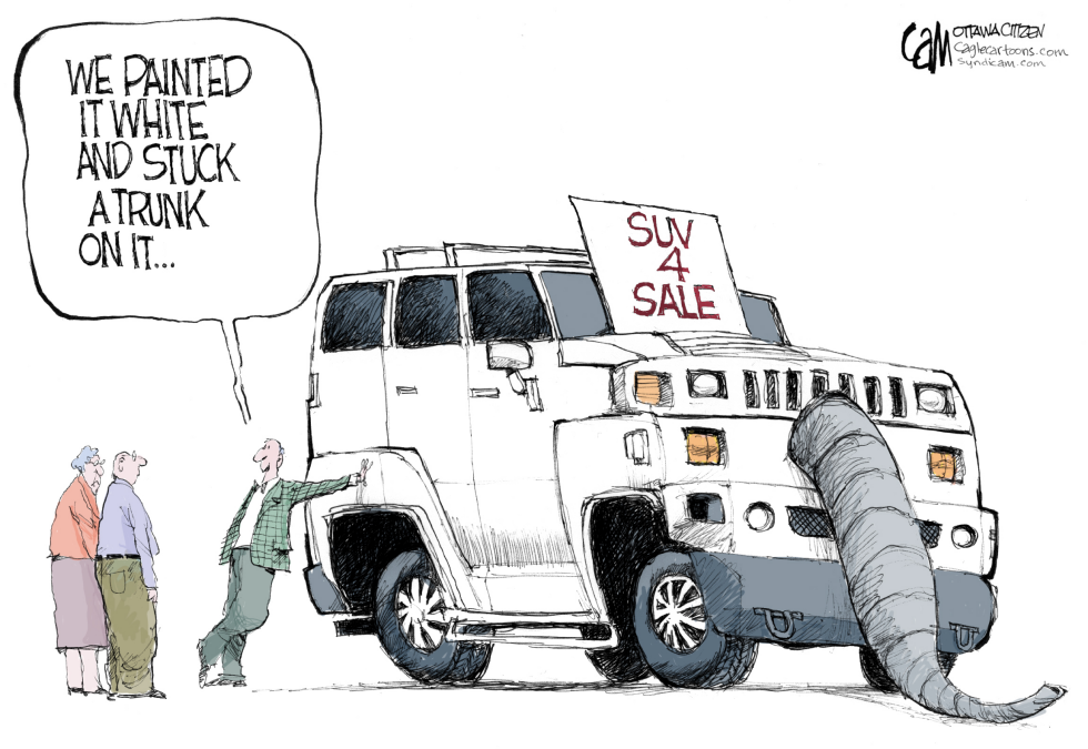 White Elephant COLOR