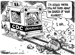 SALMONELLA AILMENT by John Trever
