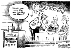 SALMONELLA OUTBREAK by Jimmy Margulies