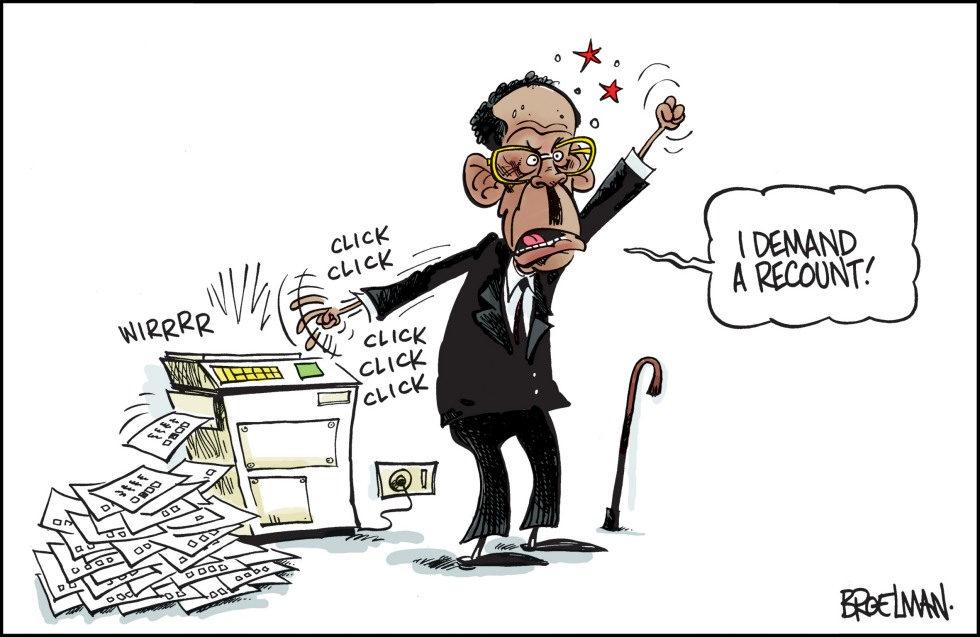 Mugabe Recount